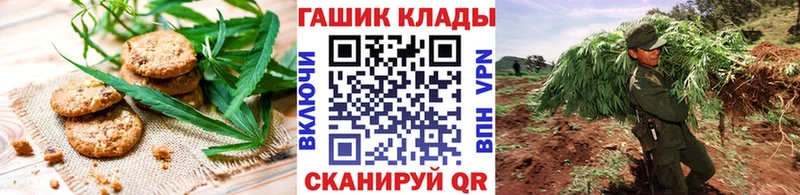Cannafood конопля  площадка как зайти  Новодвинск  кракен  