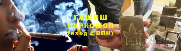 СК Алексин