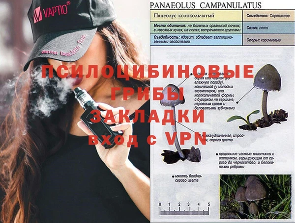 бошки Алексеевка