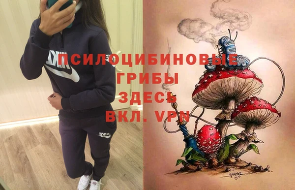 МДМА Арсеньев
