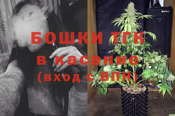 СК Алексин