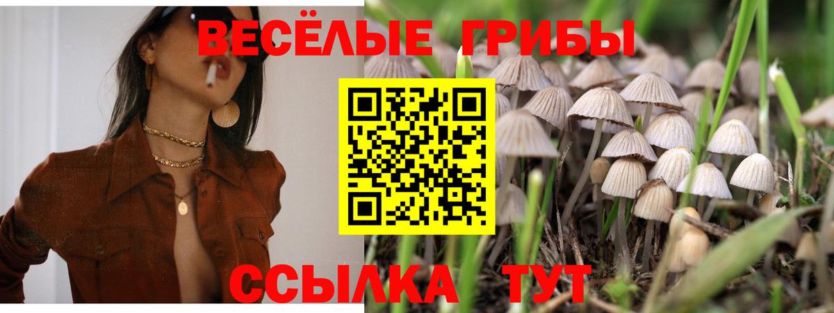 Новодвинск  Псилоцибиновые грибы Psilocybe  Галлюциногенные грибы мицелий  Вход с VPN 